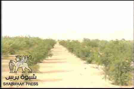 قبائل الصيعر تستولي على نقطة ركبان في مديرية &lsquo;&lsquo;زمخ ومنوخ&lsquo;&lsquo; الصحراوية