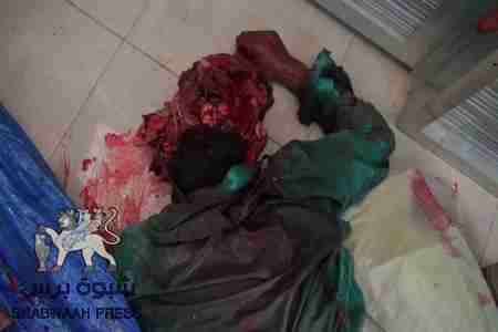 تجمع القوى المدنية الجنوبية : مذبحة الضالع جريمة إبادة إنسانية