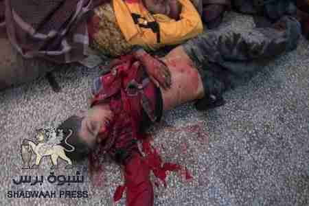 مؤسسة الف باء : ما حدث في الضالع جريمة وحشية  ومشهد تنتكس فيه راية  الانسانية