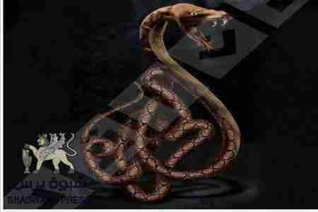 تقارير قناة الجزيرة عن الجنوب والتحير الحزبي والمناطقي لمراسليها في صنعاء