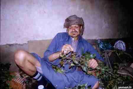 مولى الدويلة : القات آفة المجتمع وسلاح أعداءنا لتدميرنا فلنمنعه من الدخول لأرضنا.