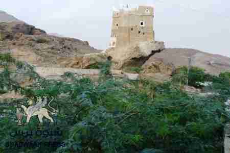 تهديد شمالي .. وإعتراض جنوبي في معسكر الريان على أعمال قصف مواقع حلف القبائل