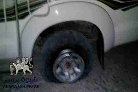 الجيش اليمني في الشحر يقتل البقر بعد قتله للبشر