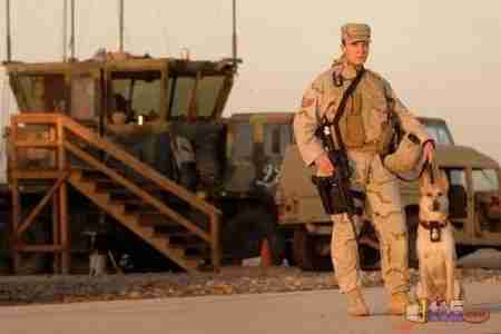 طالبان تختطف كلب أمريكي !!