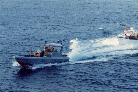 ضبط سفينتان أجنبيتان تجرفان الاسماك في سقطرى