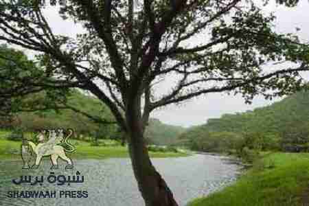 مصدر في نقابة الصحفيين بحضرموت:عسكري في اللواء 123 يقتحم مبنى وكالة سبأ الحكومية في المهرة