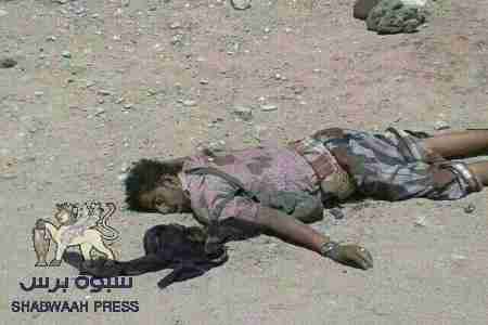 عاجل : مقتل أربعة أشخاص في تجدد لأعمال القتل في نصاب بمحافظة شبوة