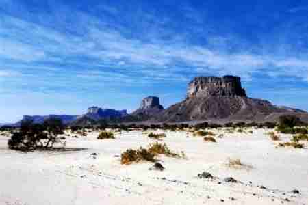 وكيل محافظة حضرموت يوجه اللواء 23 بالافراج الفوري عن أبناء الصيعر من حملة الجنسية السعودية