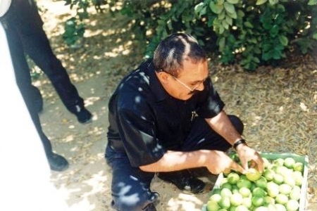 علي عبدالله صالح يستولي على عشرة آلاف نخلة مهداة من ولي العهد السعودي لأبناء حضرموت