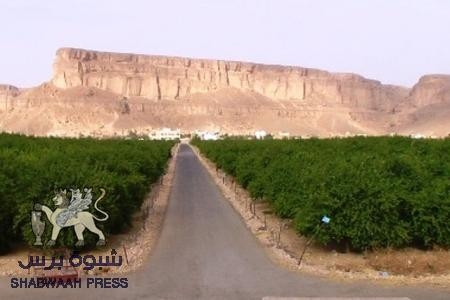 آل الزوع في القطن يستولون على مزرعة &lsquo;&lsquo; الدولة ـ بقشان&lsquo;&lsquo; في القطن