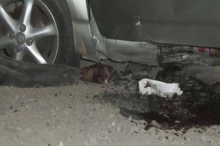 انفجار عبوة ناسفة في سيارة ضابط تتسبب في بتر ساقه