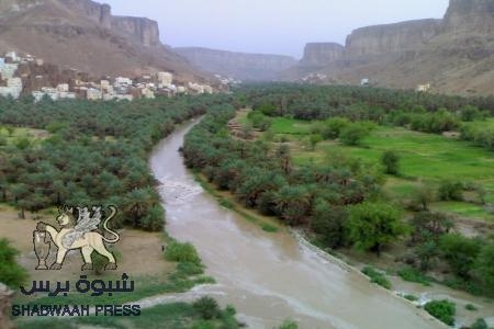 تعيين مدراء حضارم لشرطة وادي وساحل حضرموت