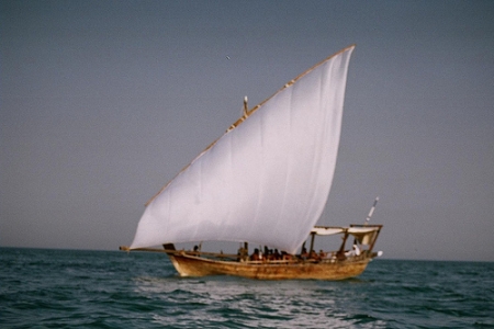 ضبط ساعية يمنية في بحر الشحر محملة بالسموم والأدوية المهربة