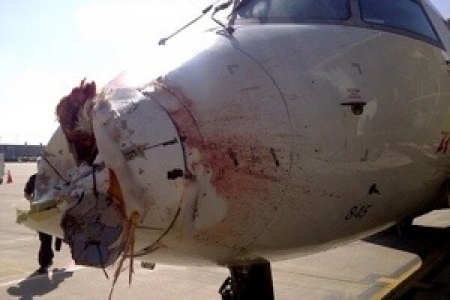 كارثة في الجو : نجاة طائرة ركاب أميركية اصطدمت بطائر في الجو