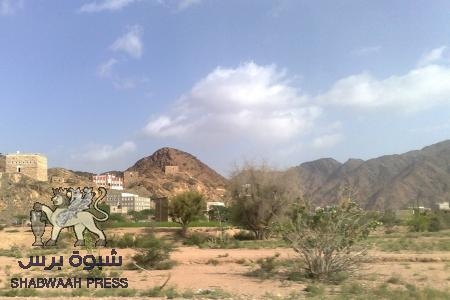 قبيلة آل باراس يردون على طلب سلطات شبوه محاربة القاعدة .. بـ لا دولتكم دولة مواطنة ولا القاعدة دولة اسلام