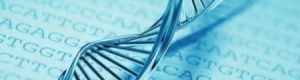 لمن يريد معرفة موطن أجداده : اختبار وراثي يتيح معرفة موقع إقامة الأسلاف قبل ألف عام