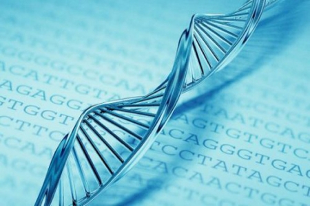 لمن يريد معرفة موطن أجداده : اختبار وراثي يتيح معرفة موقع إقامة الأسلاف قبل ألف عام