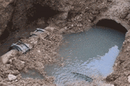 صحيفة حكومية : ري المزروعات بمياه المجاري في إب كارثة صحية !!