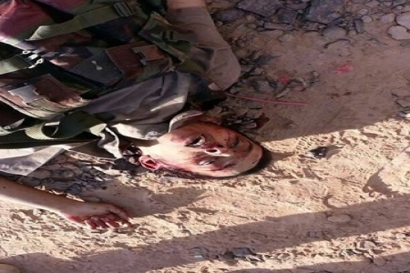 صريعان يحملان الجنسية السعودية ضمن قتلى القاعدة بعزان