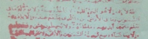 تحقيق صحفي عن قرية العلاج بالقرءآن في مصر