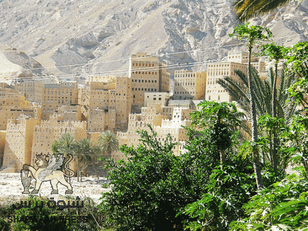 وفاة شاب من أبناء شبوه متأثرا برصاص جنود نقطة العلم لرفضه دفع أتاوة