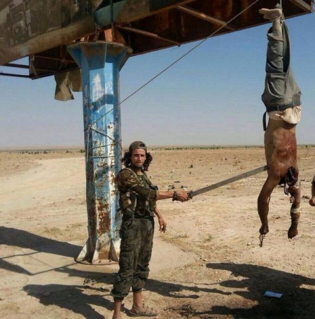 هل الإرهاب نبتة سلفية؟