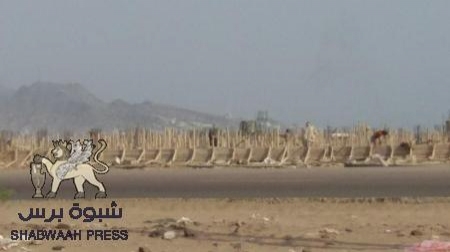 اوقفوا هذه الجريمة في عدن ( صور)