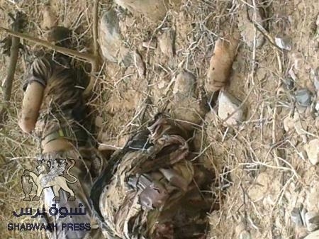 مقتل 6 عناصر من تنظيم القاعدة والجهاد في شبوه بضربة من طائرة بدون طيار