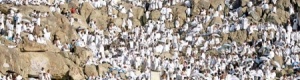 تحذير الحجاج من الصعود إلى جبل الرحمة يوم عرفة