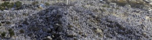 3 ملايين حاج على صعيد عرفات اليوم