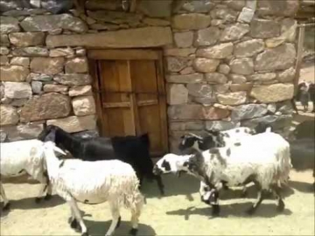 اليمنيون يستعدون للعيد وسط توترات سياسية وأمنية