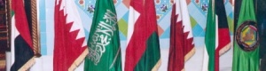 مجلس التعاون: الحادث الإرهابي بالسعودية جريمة تتنافى مع مبادئ الإسلام