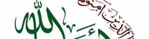 أنصار الله &lsquo;&lsquo;الحوثيون&lsquo;&lsquo; يردون على تصريحات الدكتور عبد الكريم الإرياني