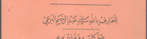 عبد الرحيم البرعي.. الهائم في الذات المحمدية