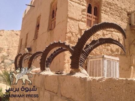 رئيس الملتقي الوطني بحضرموت  : السلطة المحلية هي المسئولة عن الانفلات الامني