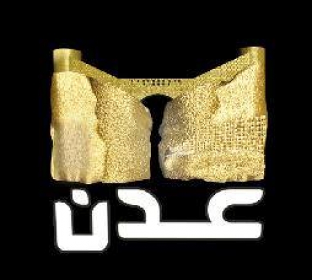 اللجنة الأمنية في عدن تعيد فتح المنافذ الجوية والبحرية