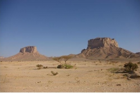 عاجل : لواء 23 ميكا بالعبر يشتبك مع عناصر من تنظيم القاعدة