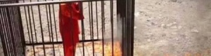 ‘‘ دولة الاسلام‘‘ تستند على فتاوى‘‘ ابن تيمية ‘‘لتبرير إحراق الكساسبة