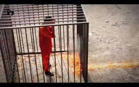 ‘‘ دولة الاسلام‘‘ تستند على فتاوى‘‘ ابن تيمية ‘‘لتبرير إحراق الكساسبة