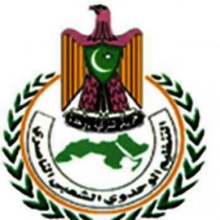 قيادة للتنظيم الناصري تلتقي سفيرا إيران ومصر