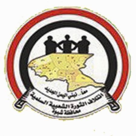 شباب التغيير بمحافظة شبوه يعلنون موقفهم من الاعلان الدستوري