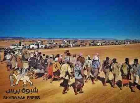 شبوة تشكل جيشاً شعبياً للتصدي للحوثيين