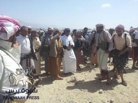 قبائل شبوه بقيادة الشيخ بن عشيم تصل الى عدن قبل قليل (صور)