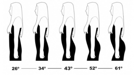 دراسة حول تاريخ الذوق الذكري في انحناءات جسد المرأة