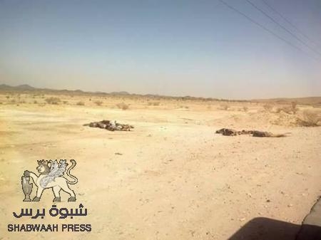 القاعدة تذبح 18 جنديا يمنيا على المدخل الشرقي لمدينة عتق