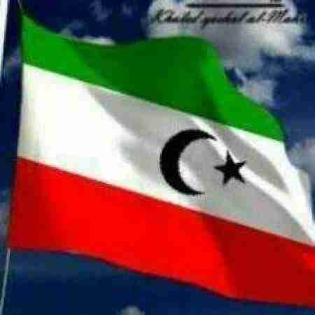 المجلس العام لأبناء المهرة وسقطرى يؤيد عاصفة الحزم وشرعية الرئيس هادي