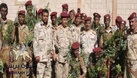 خلافات ومشادات بين أبو عوجاء وأفراد كتيبة القطن