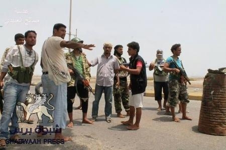 ثورة الجنوب السلمية تحصد ثمار ما بذرته