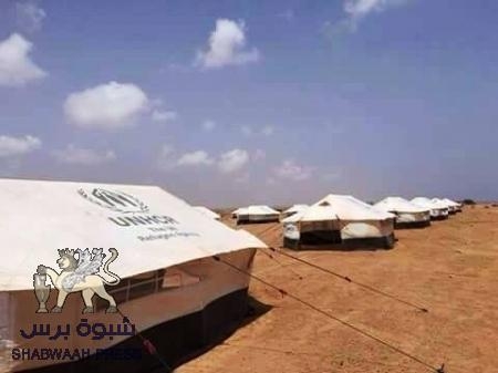 المنظمة الدولية للهجرة تعلّق إجلاء الأجانب من اليمن