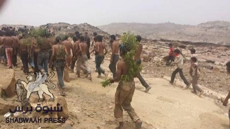 بلاغ صادر عن المقاومة الجنوبية .. جبهة الضالع
